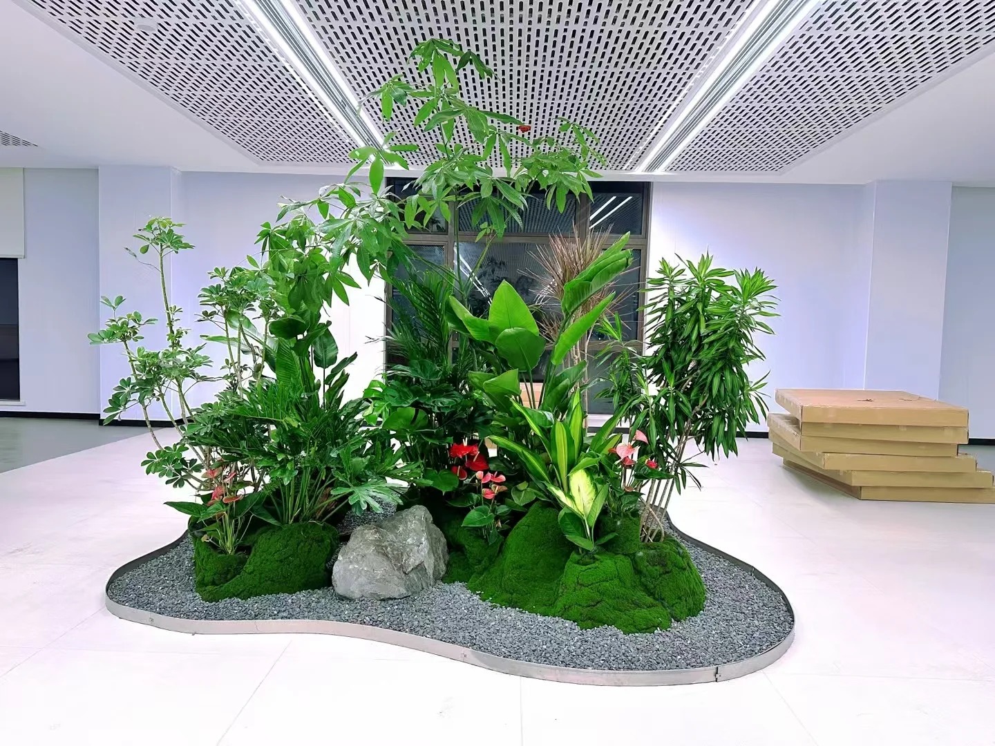 海曙花卉租摆批发怎么学好？零基础入门指南